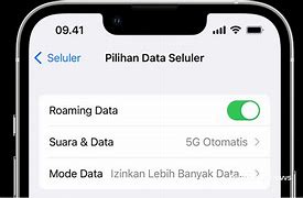 Cara Buka Jaringan Iphone